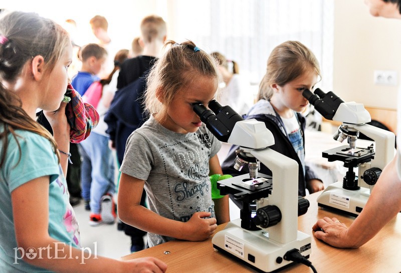 Elbląg, Raz do roku, w elbląskiej PWSZ, odbywa się Festiwal Nauki, który za pomocą eksperymentów i warsztatów pokazuje, że nauka może być też formą zabawy Elbląg, Raz do roku, w elbląskiej PWSZ, odbywa się Festiwal Nauki, który za pomocą eksperymentów i warsztatów pokazuje, że nauka może być też formą zabawy