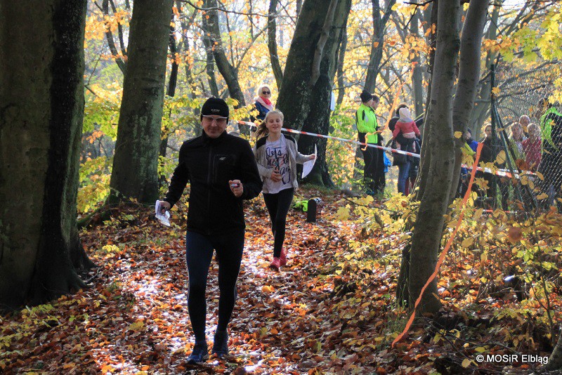 Elbląg, W sobotę pobiegniemy na orientację