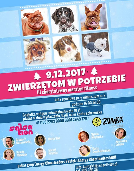 Elbląg, Wytańczą ciepło dla schroniska dla zwierząt Elbląg, Wytańczą ciepło dla schroniska dla zwierząt