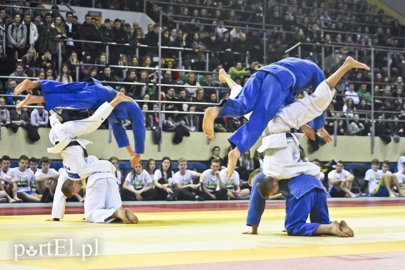 Elbląg, Do Elbląga przyjechali najlepsi młodzi judocy z Polski i kilku innych krajów Elbląg, Do Elbląga przyjechali najlepsi młodzi judocy z Polski i kilku innych krajów