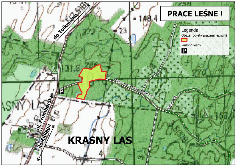 Elbląg, Prace leśne na odcinku Krasny Las-Jagodnik Elbląg, Prace leśne na odcinku Krasny Las-Jagodnik
