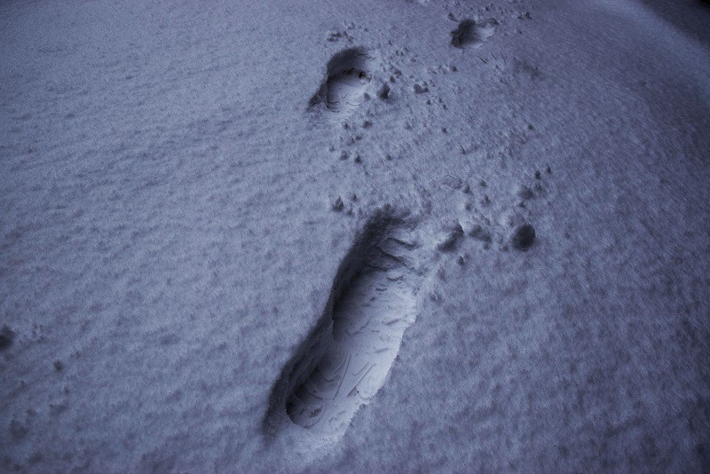 Elbląg, Zdradziły ich ślady na śniegu