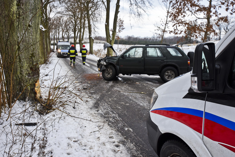 Elbląg, Autem uderzył w drzewo