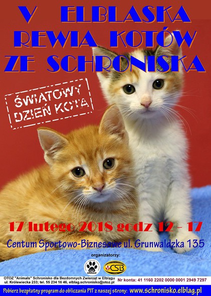 Elbląg, Piąta Elbląska Rewia Kotów