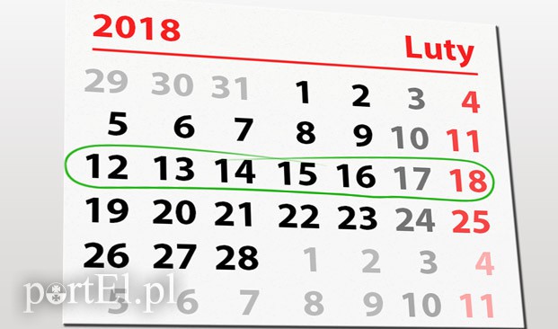 Elbląg, W tym tygodniu PortEl.pl poleca: rewię kotów, koncerty, spotkanie z poezją Elbląg, W tym tygodniu PortEl.pl poleca: rewię kotów, koncerty, spotkanie z poezją