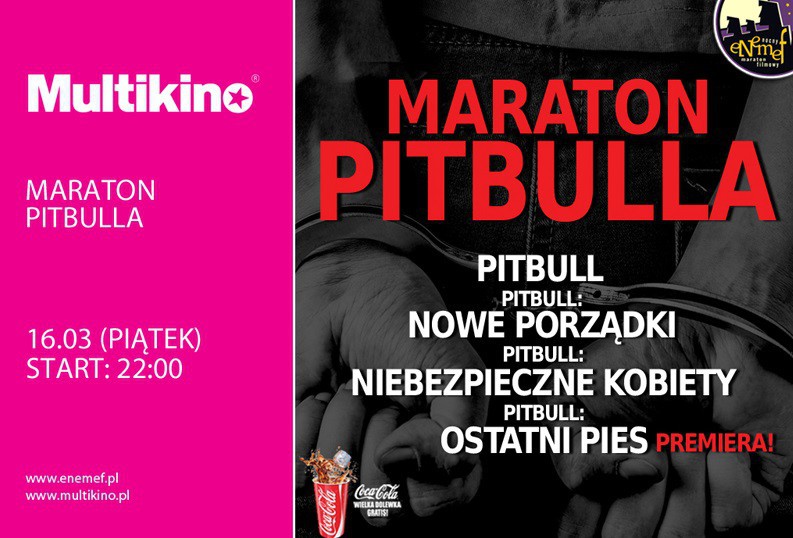 Elbląg, ENEMEF: Maraton Pitbulla -  on wygrał bilety