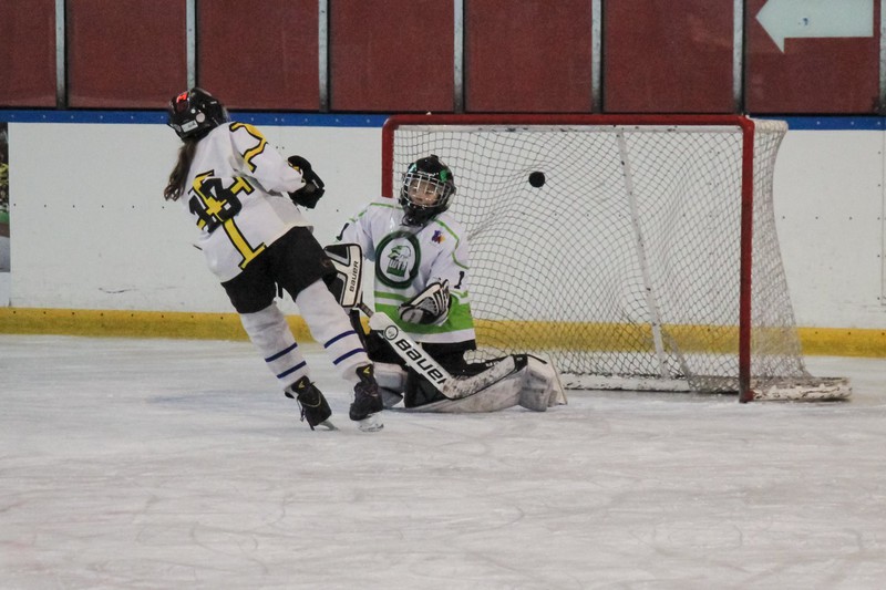 Elbląg, Wikingowie idą jak burza