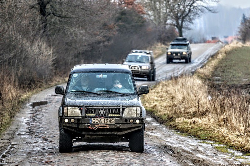 Elbląg, Wspomogli bezdomne zwierzęta