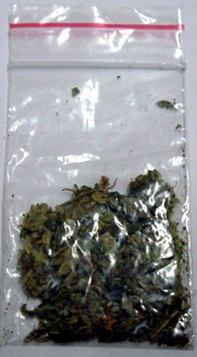 Elbląg, Zatrzymani z narkotykami