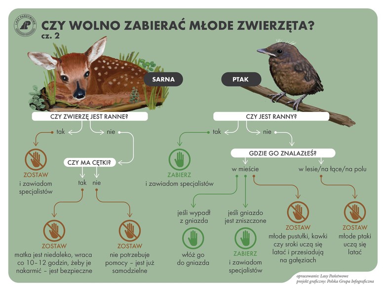 Elbląg, Infografika Lasy Państwowe