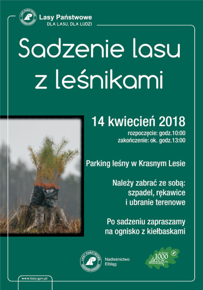 Elbląg, Sadzenie lasu z leśnikami już w sobotę Elbląg, Sadzenie lasu z leśnikami już w sobotę