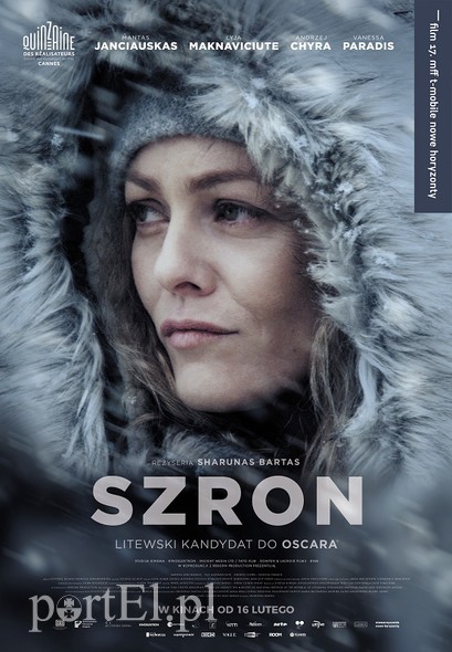 Elbląg, Szron w Dyskusyjnym Klubie Filmowym