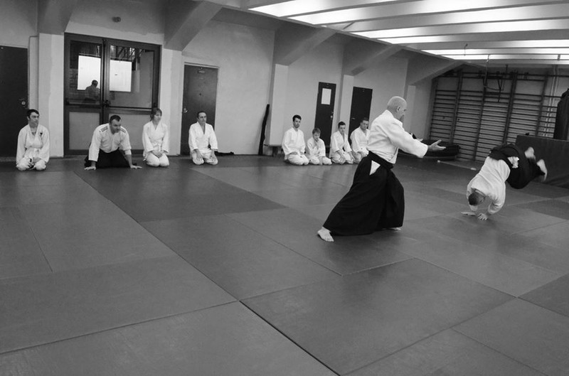 Elbląg, Aikidocy na stażu