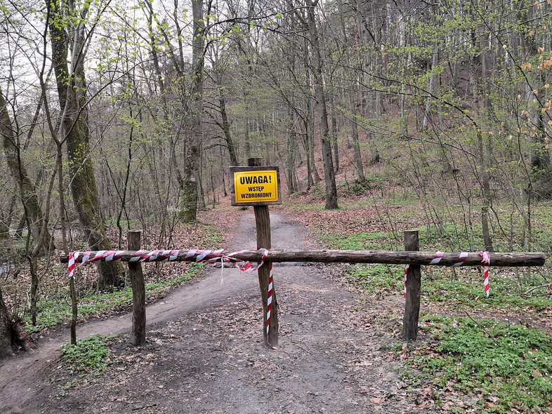 Elbląg, Będą pieniądze, ale nie na czerwony szlak w Bażantarni Elbląg, Będą pieniądze, ale nie na czerwony szlak w Bażantarni
