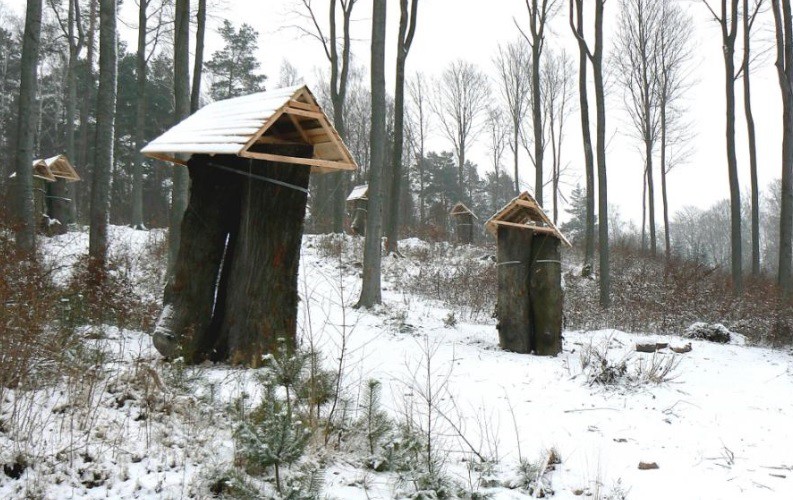 Elbląg, Park Pachnicowy zimą Elbląg, Park Pachnicowy zimą