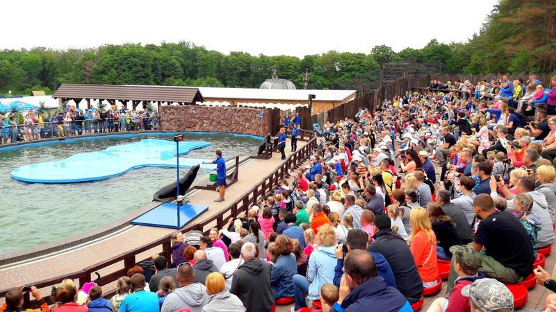 Sea Park Sarbsk: oni wygrali zaproszenia Sea Park Sarbsk: oni wygrali zaproszenia