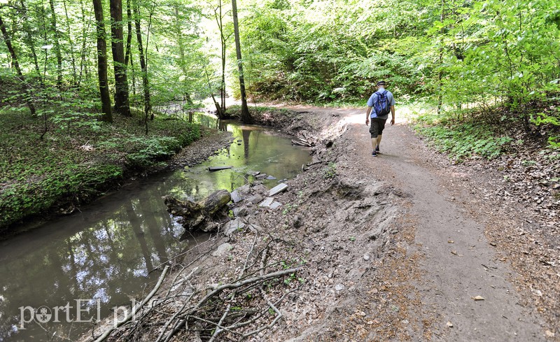 Elbląg, Tak czerwony szlak wzdłuż Srebrnego Potoku wygląda dzisiaj