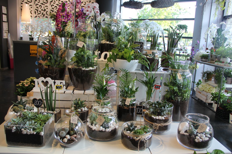 Dzień Matki w Kwiaciarni Romantycznej Dzień Matki w Kwiaciarni Romantycznej