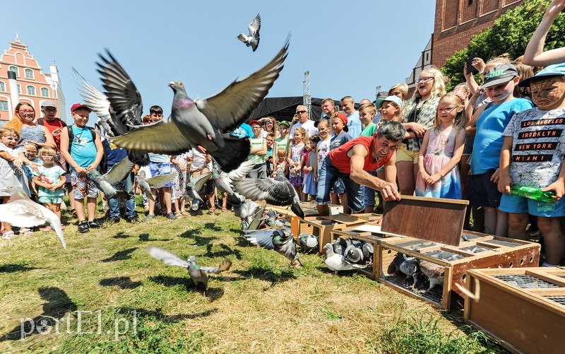 Elbląg, Miasto należy dziś do dzieci