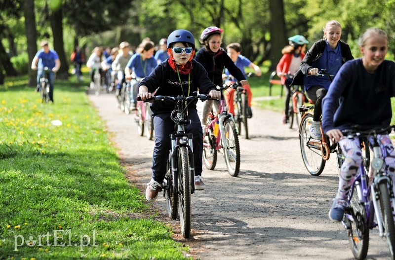 Elbląg, Rowerowy Maj za nami – nowy rekord w Elblągu