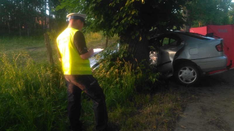 Elbląg, Jak doszło do wypadku w Demitach?