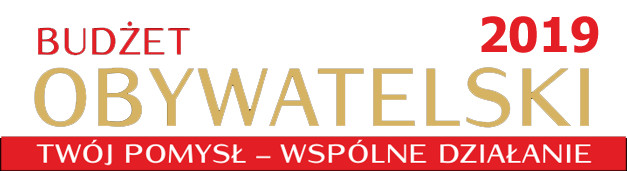 Elbląg, Budżet Obywatelski 2019. Co za nami? Co przed nami?