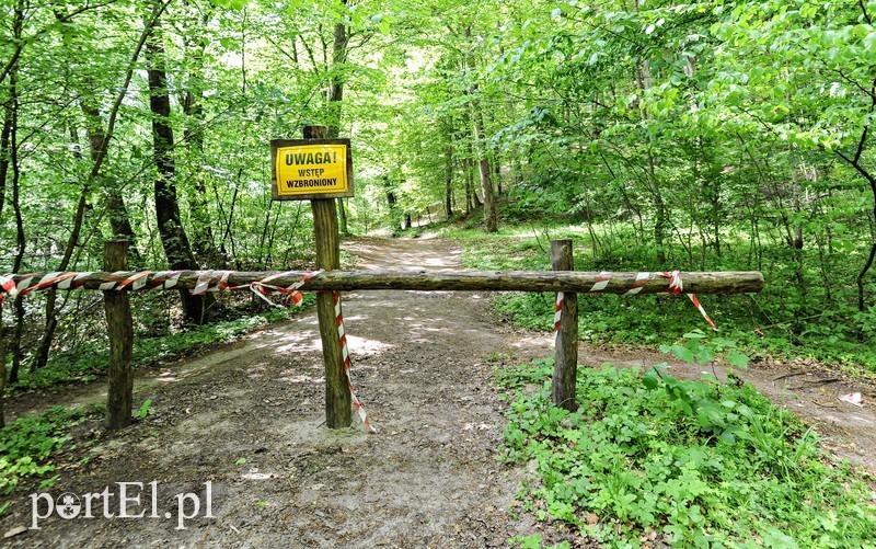 Elbląg, Pierwsze remonty po powodzi Elbląg, Pierwsze remonty po powodzi