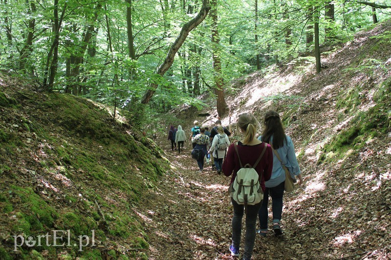 Elbląg, Czas na quiz! Daj się wpuścić w turystyczny szlak