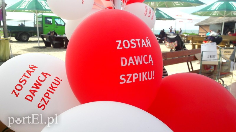 Elbląg, Na plaży w Kadynach można było zarejestrować się w bazie dawców szpiku Elbląg, Na plaży w Kadynach można było zarejestrować się w bazie dawców szpiku