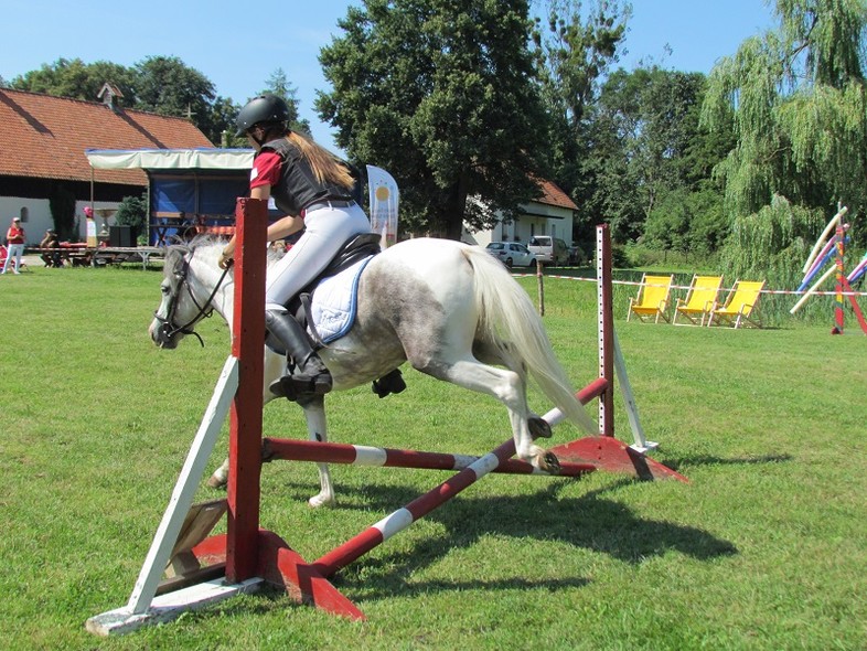 Elbląg, Drugie zawody jeździeckie z cyklu Pony Cup za nami