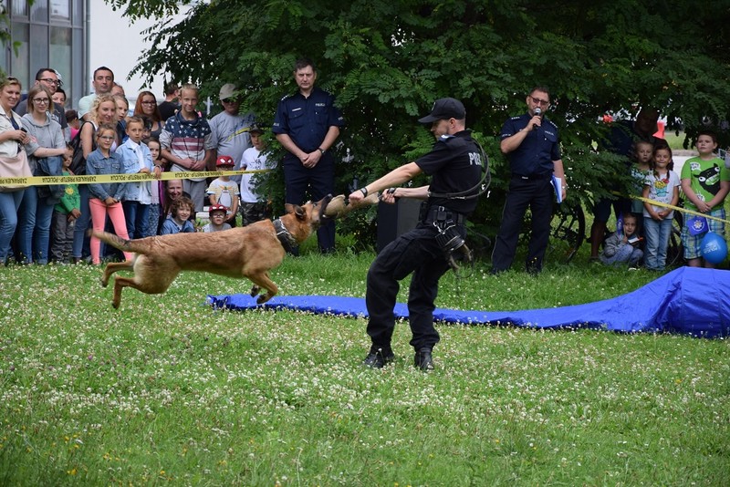 Elbląg, Policjanci będą świętować