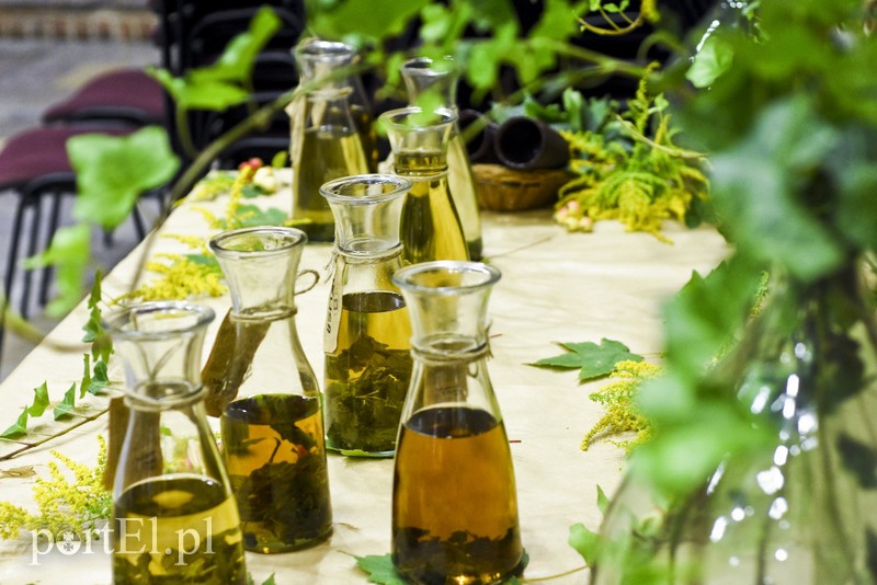 Elbląg, Co wiemy o herbacie?