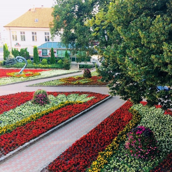Elbląg, Zagłosuj na ukwiecony Elbląg
