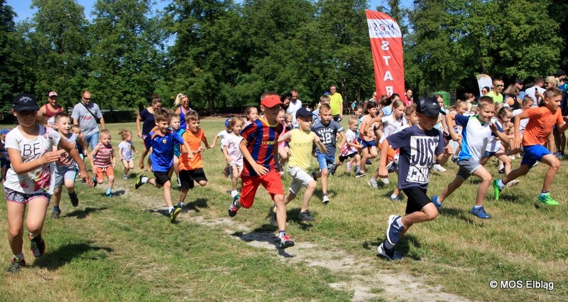 Elbląg, Weź udział w biegach przełajowych w Bażantarni Elbląg, Weź udział w biegach przełajowych w Bażantarni