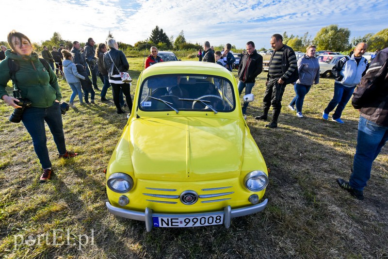 Elbląg, foto MS