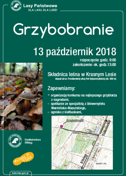 Elbląg, Grzybobranie z leśnikami