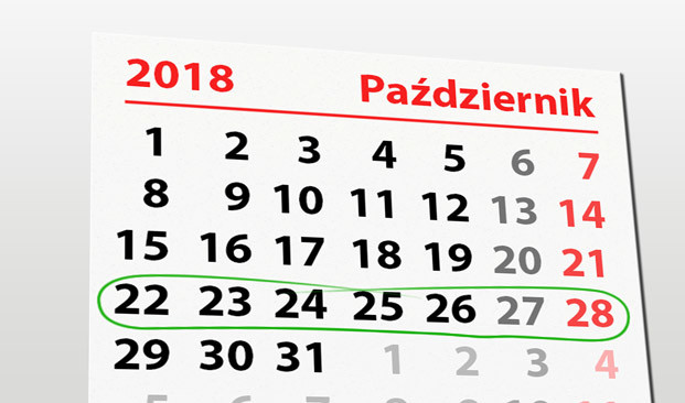 Elbląg, W tym tygodniu portEl poleca: Bieg na 6 łap i koncerty