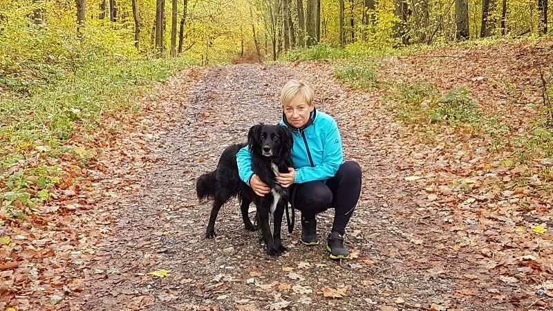 Elbląg, Pobiegną dla zwierzaków ze schroniska