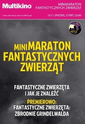 Elbląg, ENEMEF: Minimaraton Fantastycznych Zwierząt w Multikinie Elbląg, ENEMEF: Minimaraton Fantastycznych Zwierząt w Multikinie