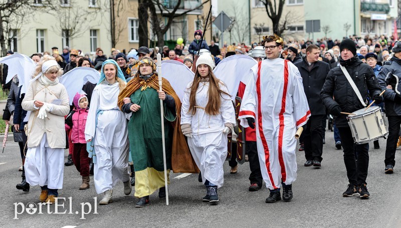 Elbląg, Wielbłąd dla Elbląga!