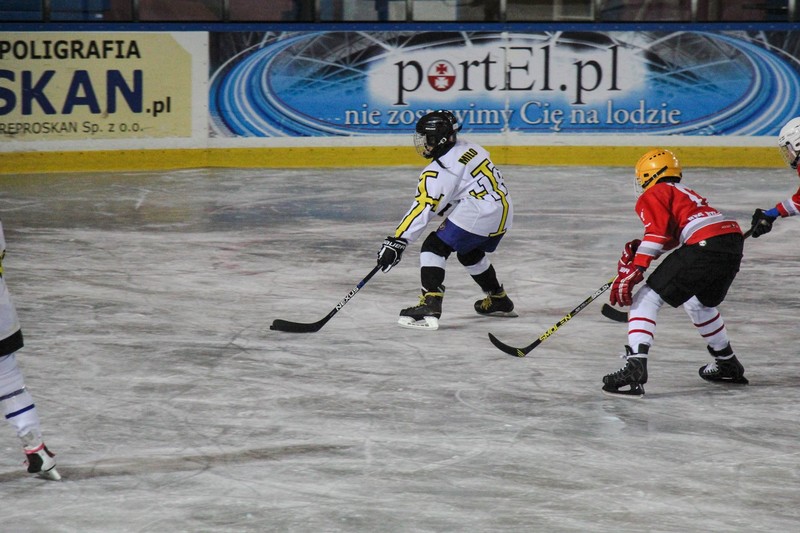 Elbląg, Wikingowie powalczą o punkty