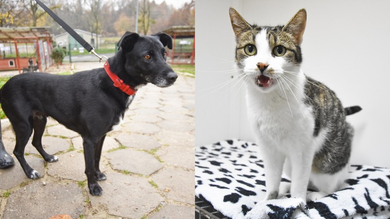 Elbląg, Sara (po lewej) i Natali