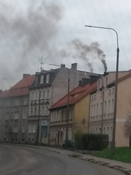 Elbląg, Happpening w sprawie ochrony klimatu Elbląg, Happpening w sprawie ochrony klimatu