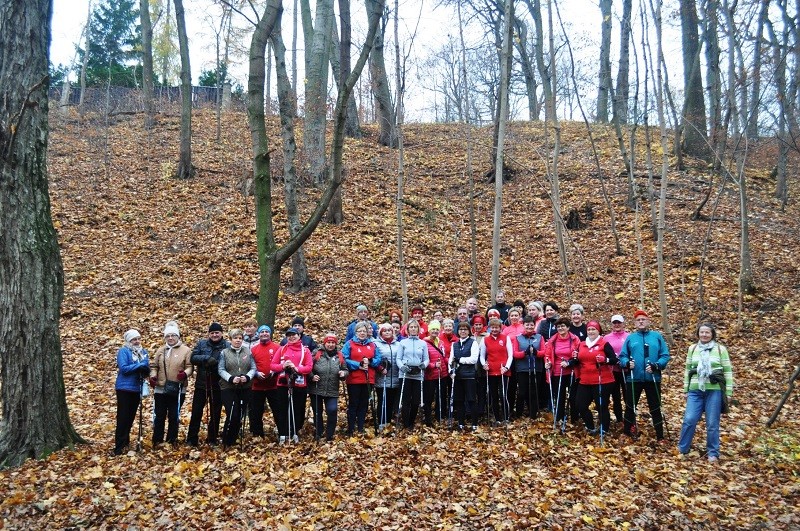 Elbląg, Weź udział w warsztatach nordic walking