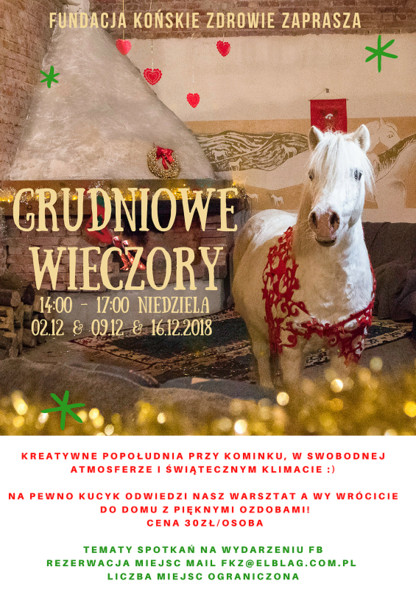 Elbląg, Grudniowe wieczory w Fundacji Końskie Zdrowie Elbląg, Grudniowe wieczory w Fundacji Końskie Zdrowie