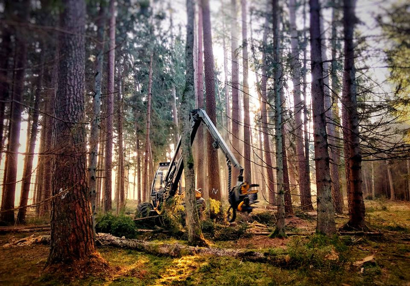 Elbląg, Leśne "transformersy" na wielkich kołach (Opowieści z lasu, odc. 144)