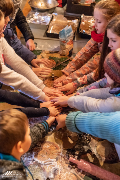 Elbląg, Weź udział w Grudniowych Wieczorach Fundacji Końskie Zdrowie