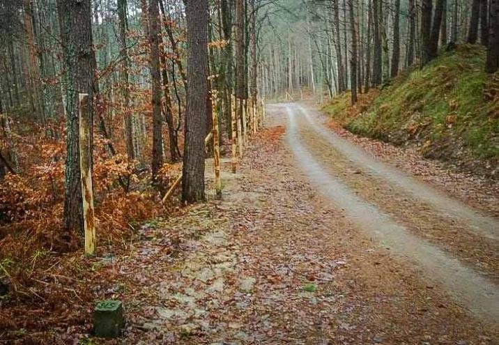 Elbląg, Teren, na którym trwają prace geologiczne, został ogrodzony Elbląg, Teren, na którym trwają prace geologiczne, został ogrodzony