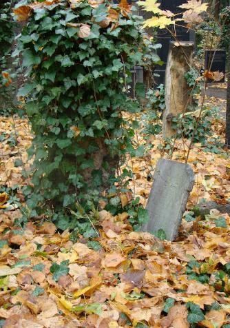 Elbląg, Nagrobek Wolfa Wallnau na cmentarzu w Berlinie-Weissensee. (Zbiór Thiel-Melerska)