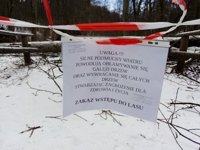 Elbląg, Zakaz wstępu do Bażantarni Elbląg, Zakaz wstępu do Bażantarni